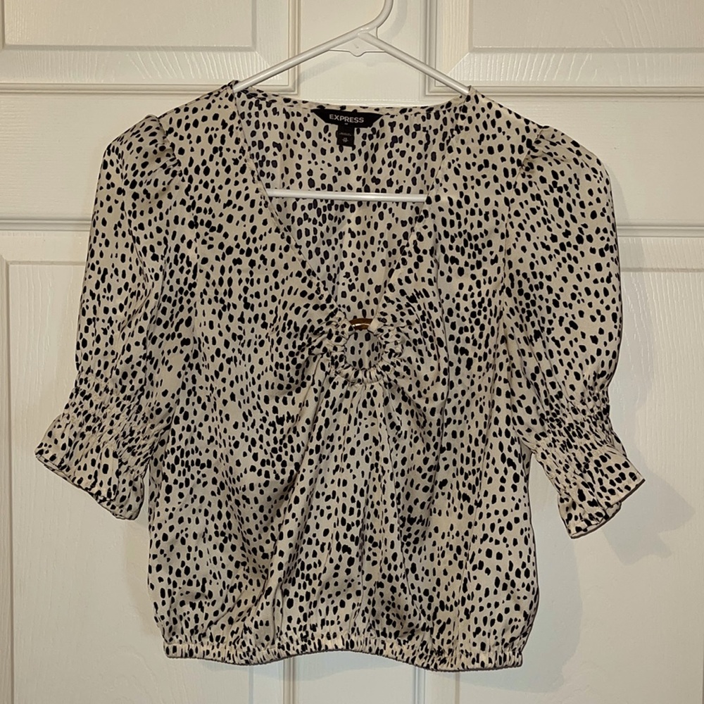 Express Dress Crop Shirt, XS